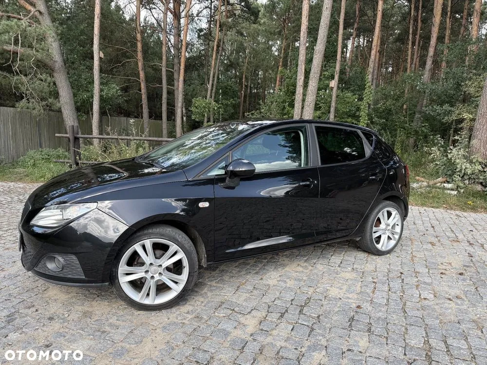 Seat Ibiza 2010 photo 2