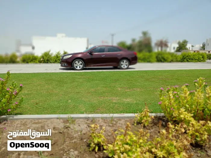 Chevrolet Malibu 2016 photo 3
