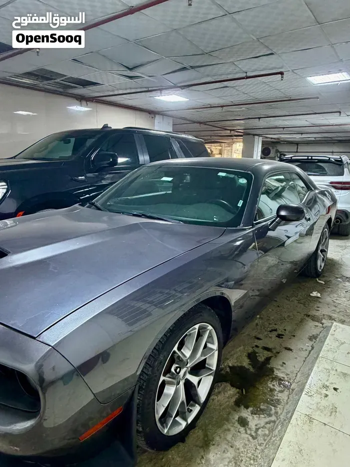 Dodge Challenger 2022 photo 3