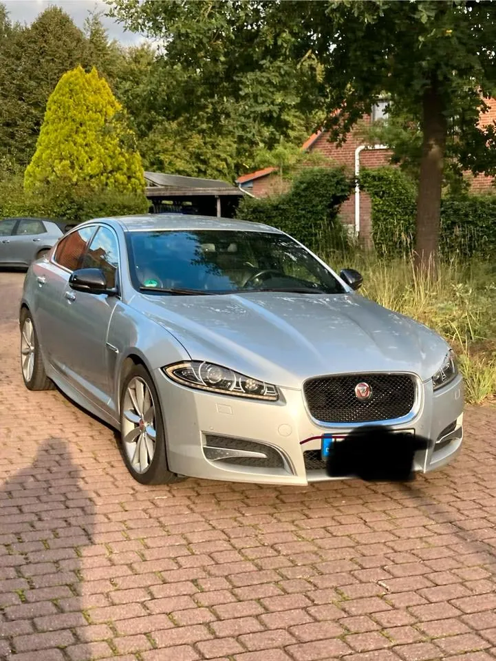 Jaguar Xf