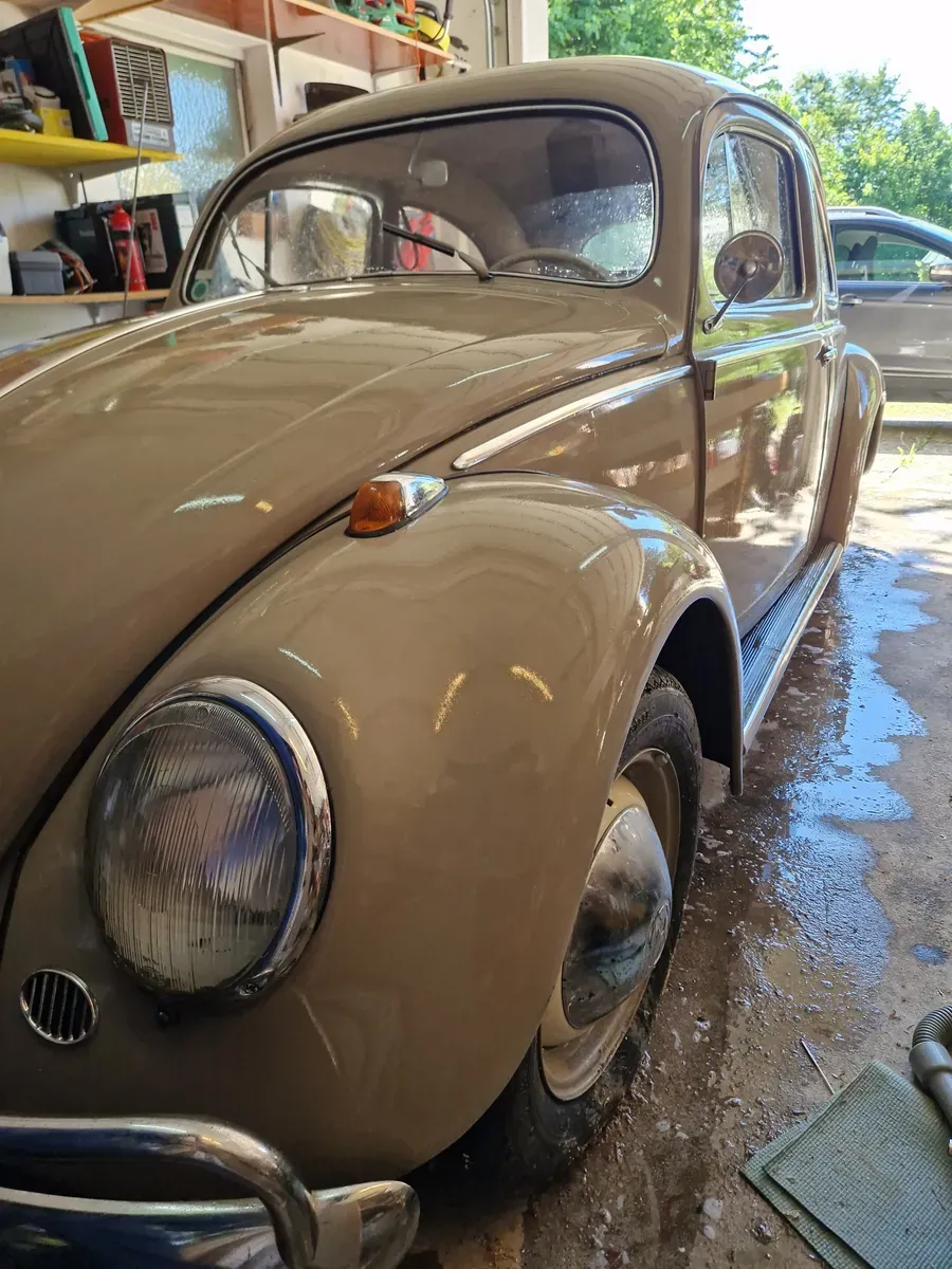 Volkswagen Käfer