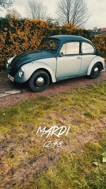 Volkswagen Beetle