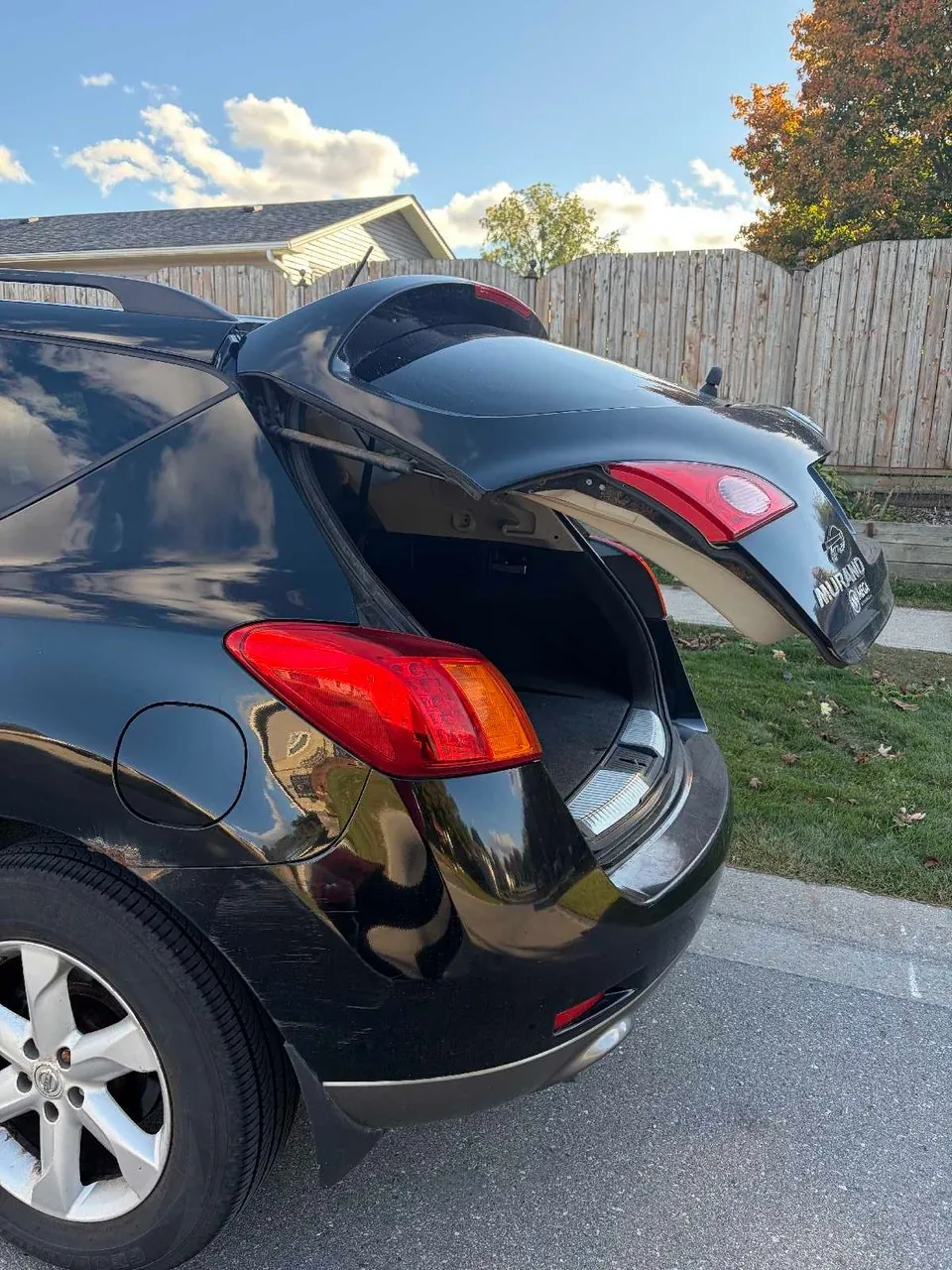 Nissan Murano 2009 photo 5
