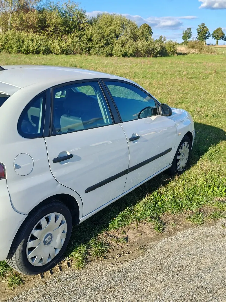 Seat Ibiza 2009 photo 3