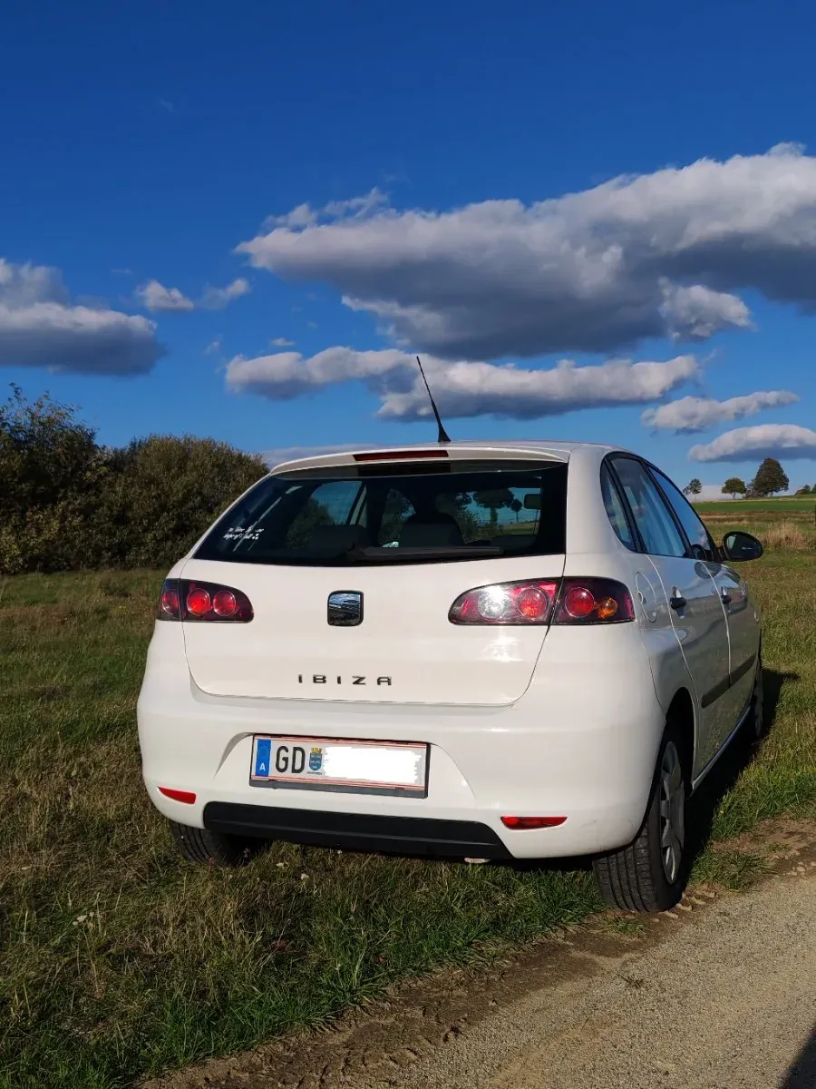 Seat Ibiza 2009 photo 2