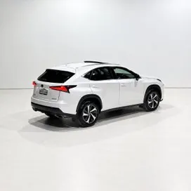 Lexus Nx 300 2019 photo 3