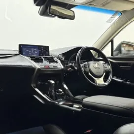 Lexus Nx 300 2019 photo 4