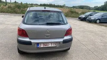 Peugeot 307 2005 photo 4