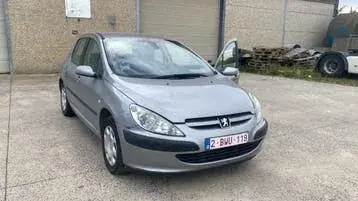 Peugeot 307 2005 photo 2