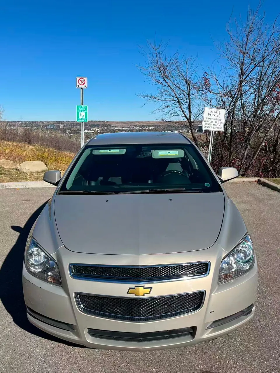 Chevrolet Malibu 2011 photo 2