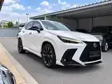 Lexus Nx 2023 photo 3