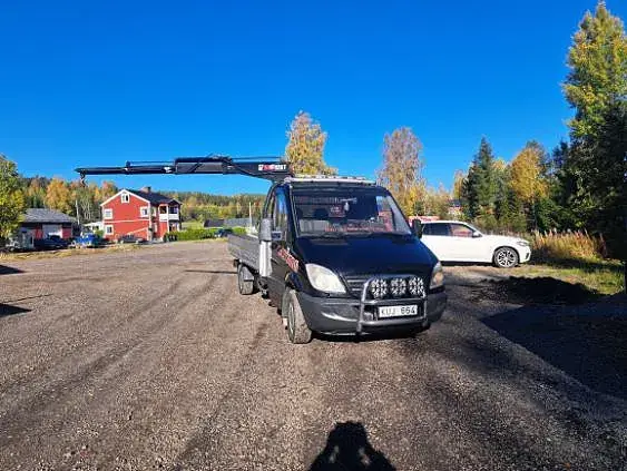 Mercedes-Benz Sprinter 316 2010 photo 3