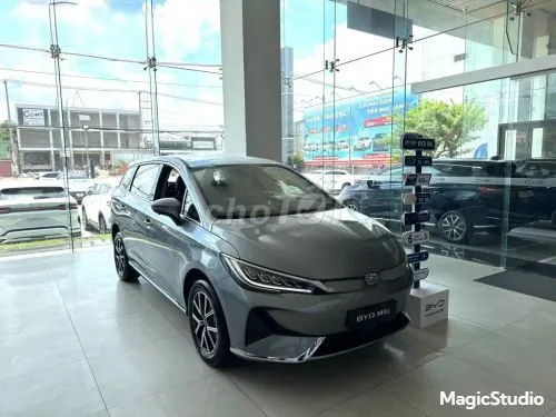 BYD M6