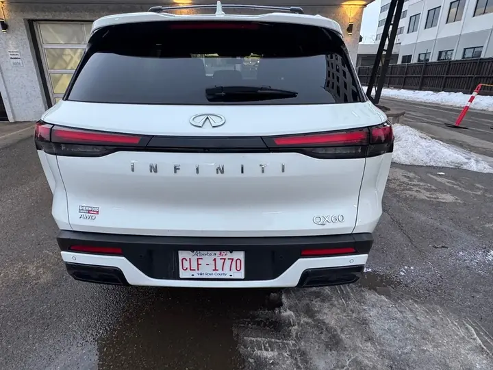 Infiniti Qx60 2023 photo 3