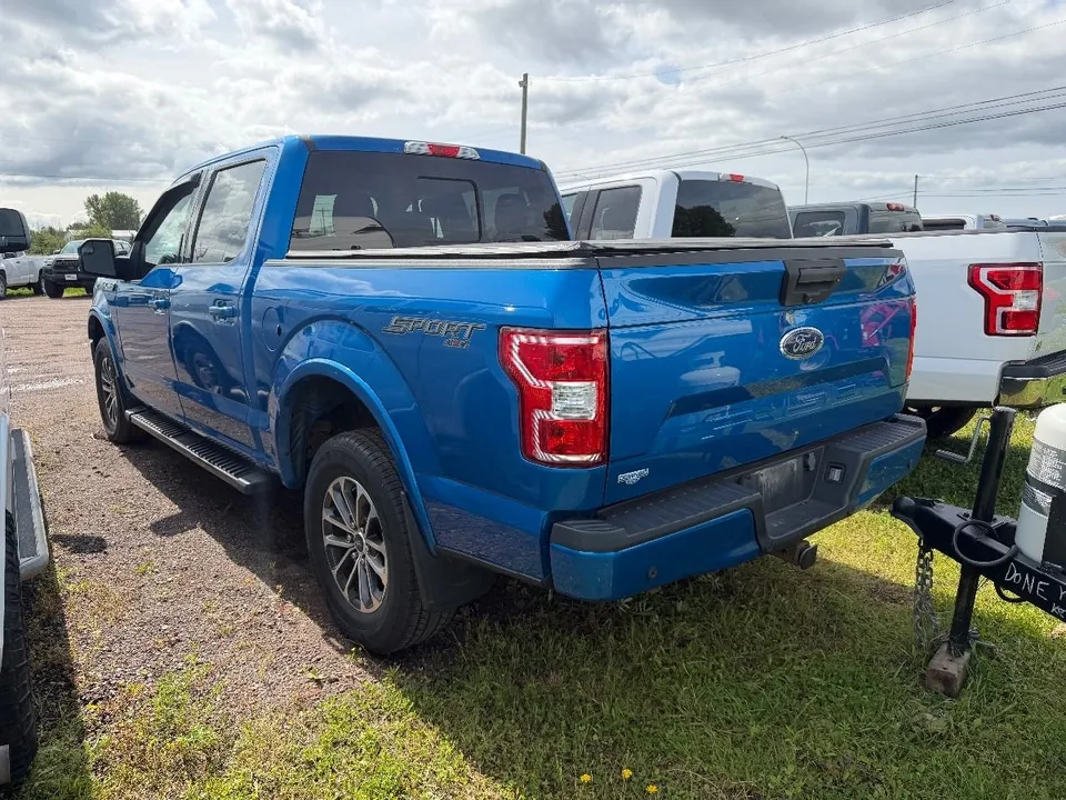 Ford F-150 2019 photo 2