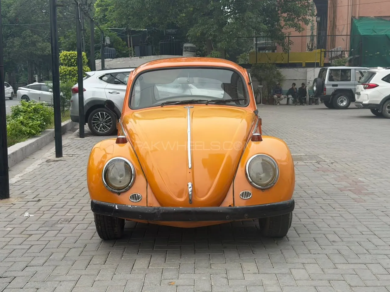 Volkswagen Beetle