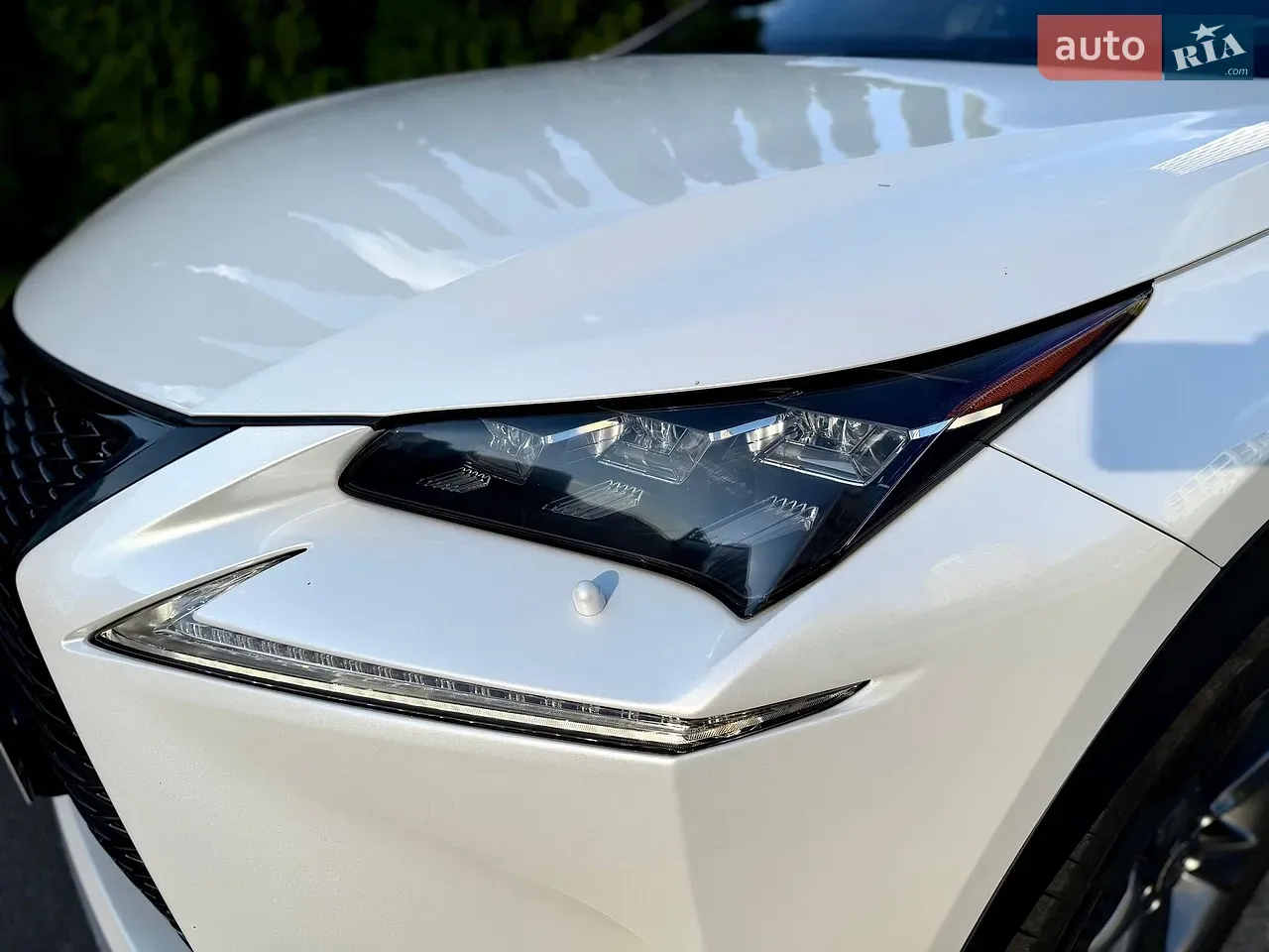 Lexus Nx 2014 photo 4