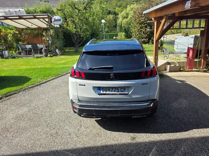 Peugeot 3008 2019 photo 2
