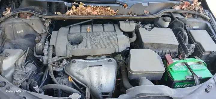 Toyota Venza 2011 photo 5