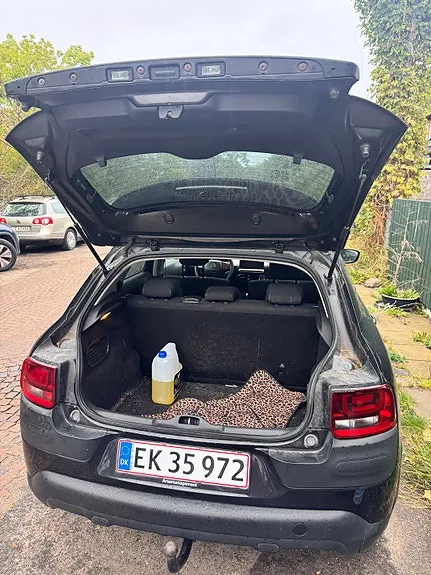 Citroen C4 Cactus 2015 photo 4