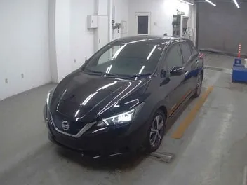 Nissan Leaf 2021 photo 5