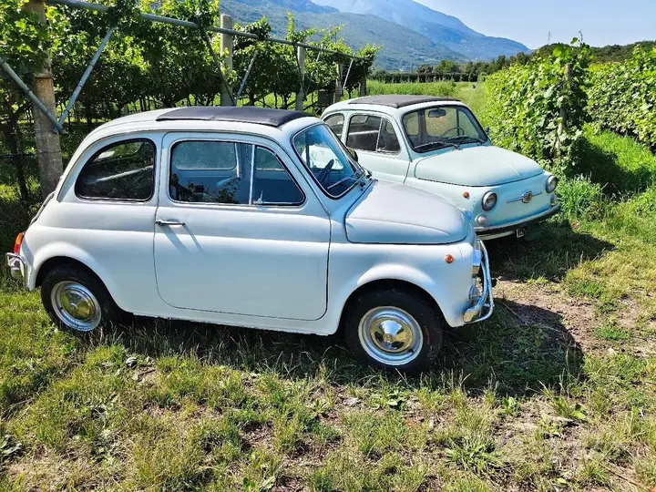 Fiat 500 1960 photo 3