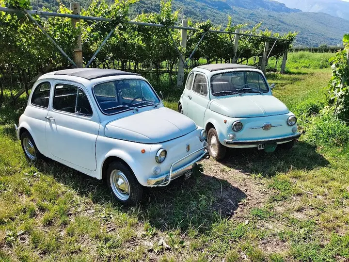 Fiat 500 1960 photo 4