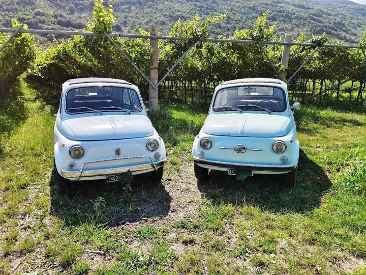 Fiat 500 1960 photo 5