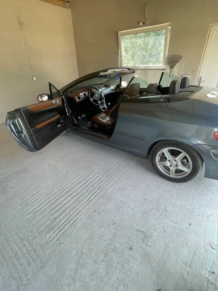 Peugeot 307 2005 photo 2
