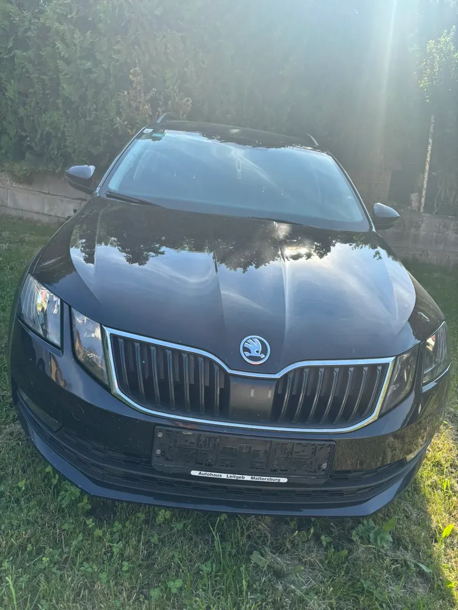 Skoda Octavia 2019 photo 2