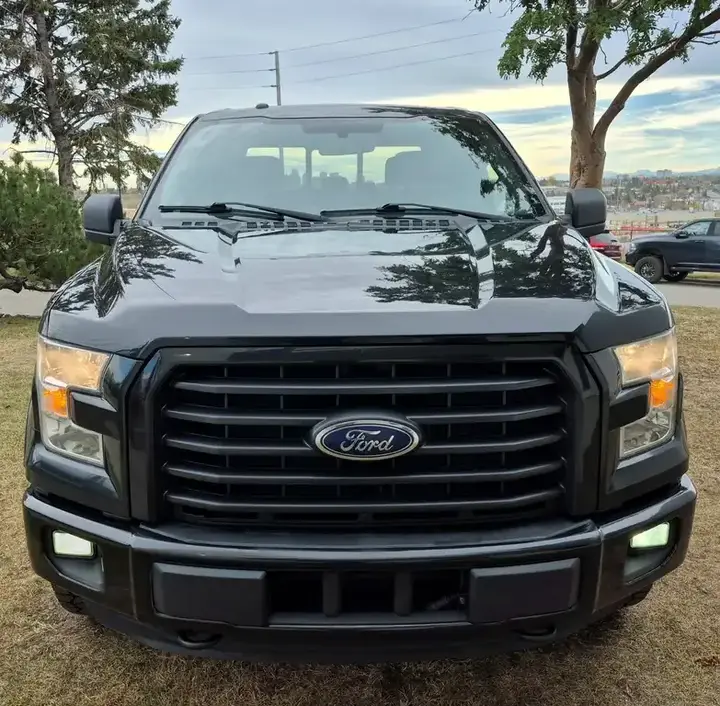 Ford F-150 2015 photo 2