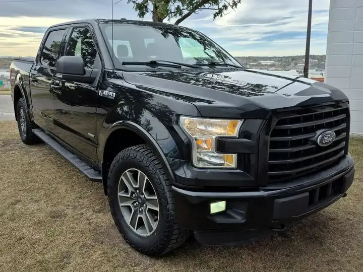 Ford F-150 2015 photo 3