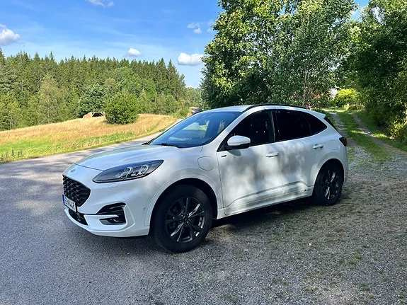 Ford Kuga 2020 photo 2