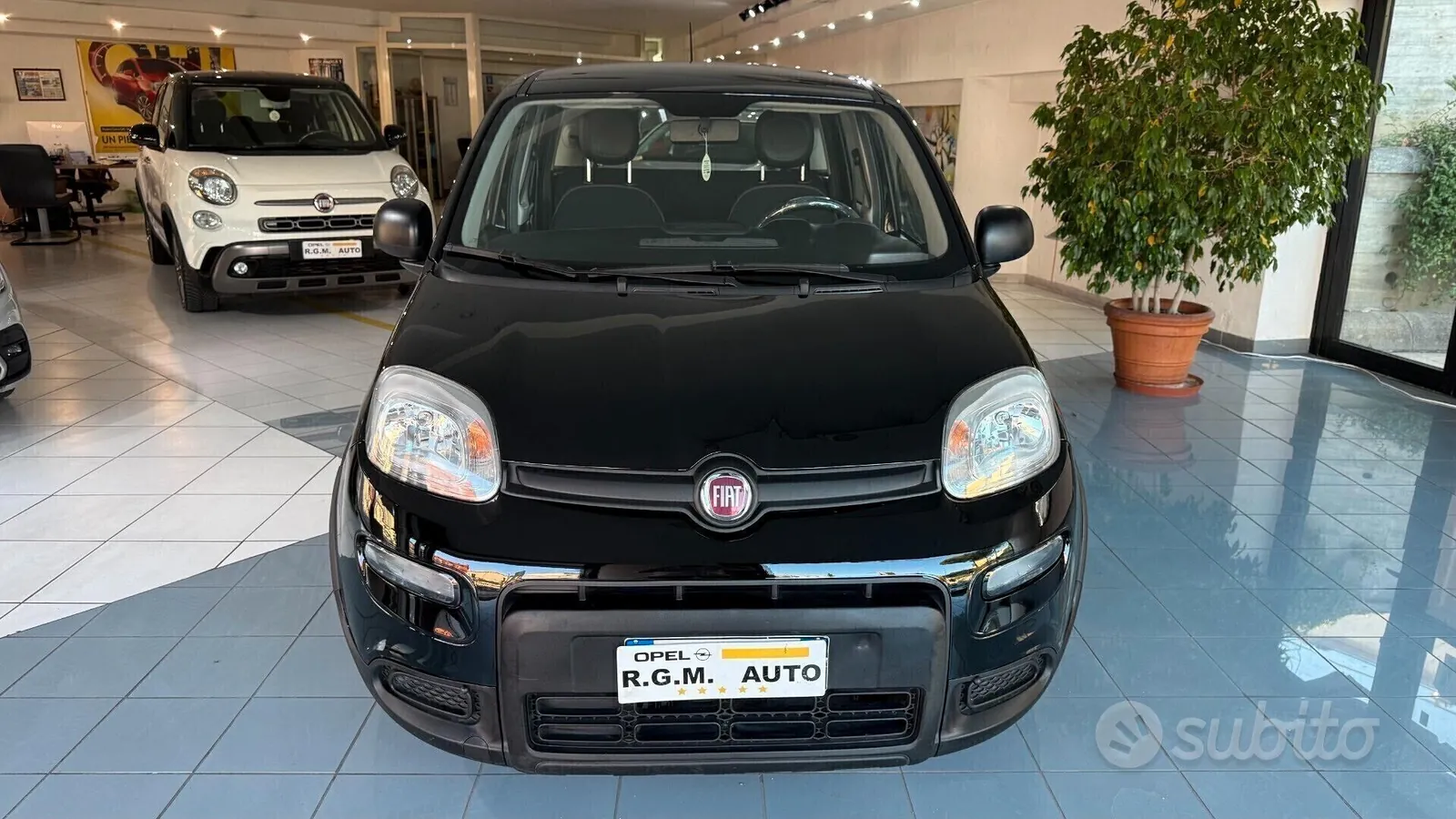 Fiat Panda 2023 photo 4