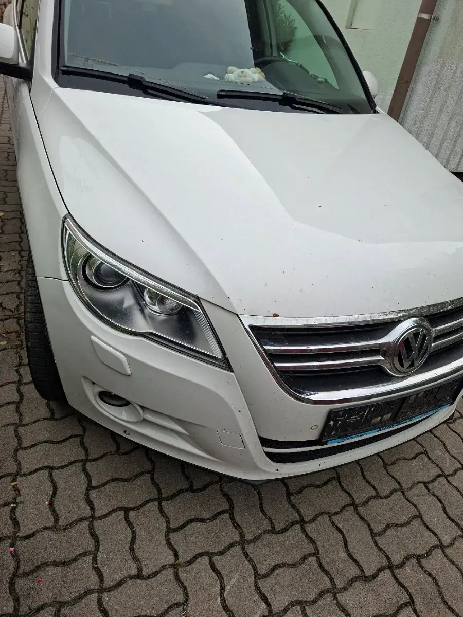 Volkswagen Tiguan 2009 photo 3