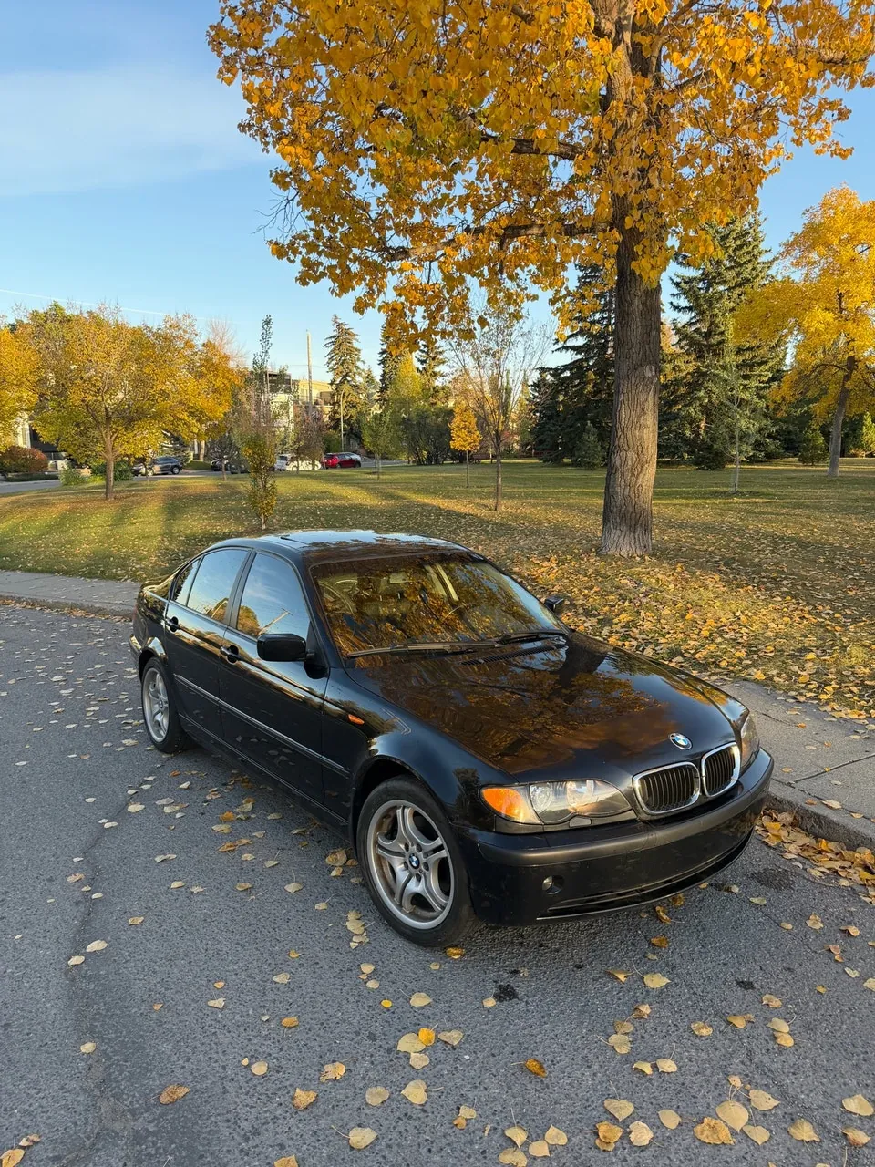 BMW 325Xi