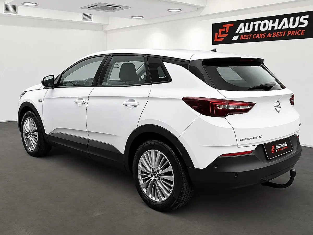 Opel Grandland X 2019 photo 3