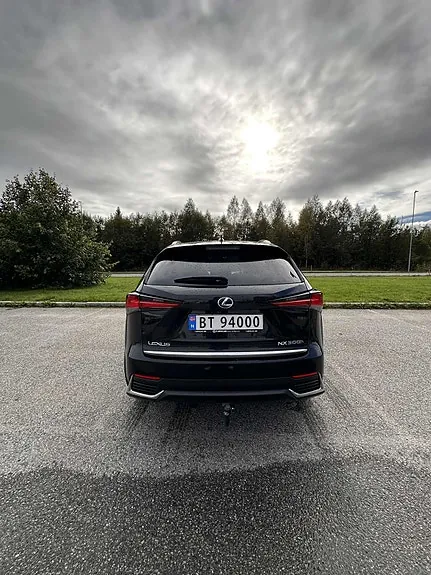 Lexus Nx300H 2019 photo 5