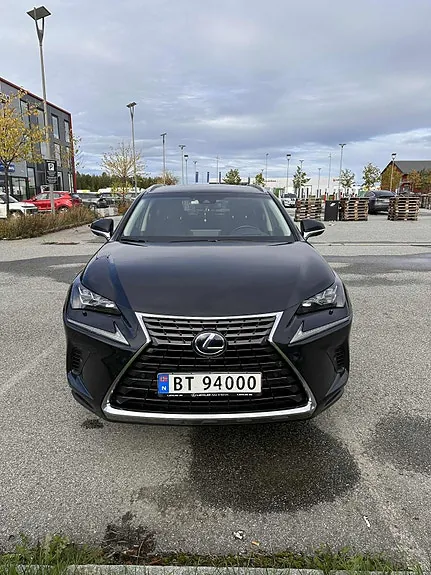 Lexus Nx300H 2019 photo 3