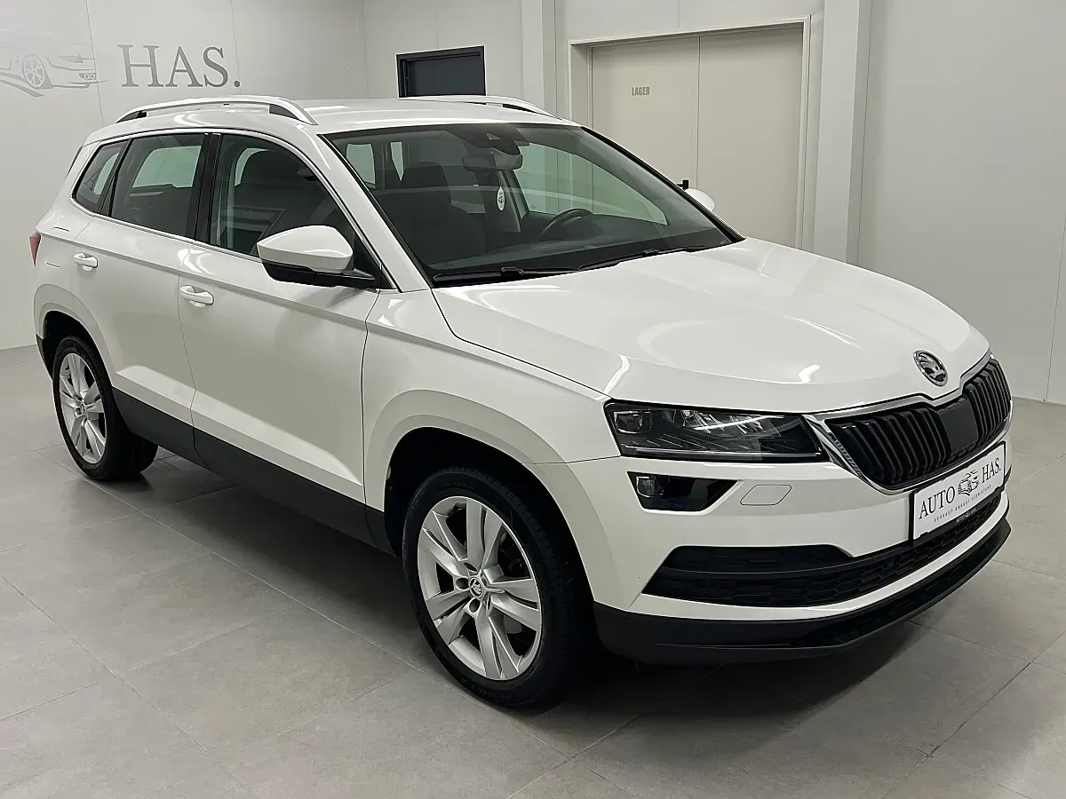 Skoda Karoq 2021 photo 2