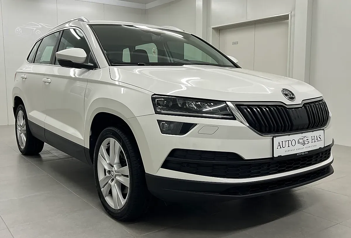 Skoda Karoq 2021 photo 3