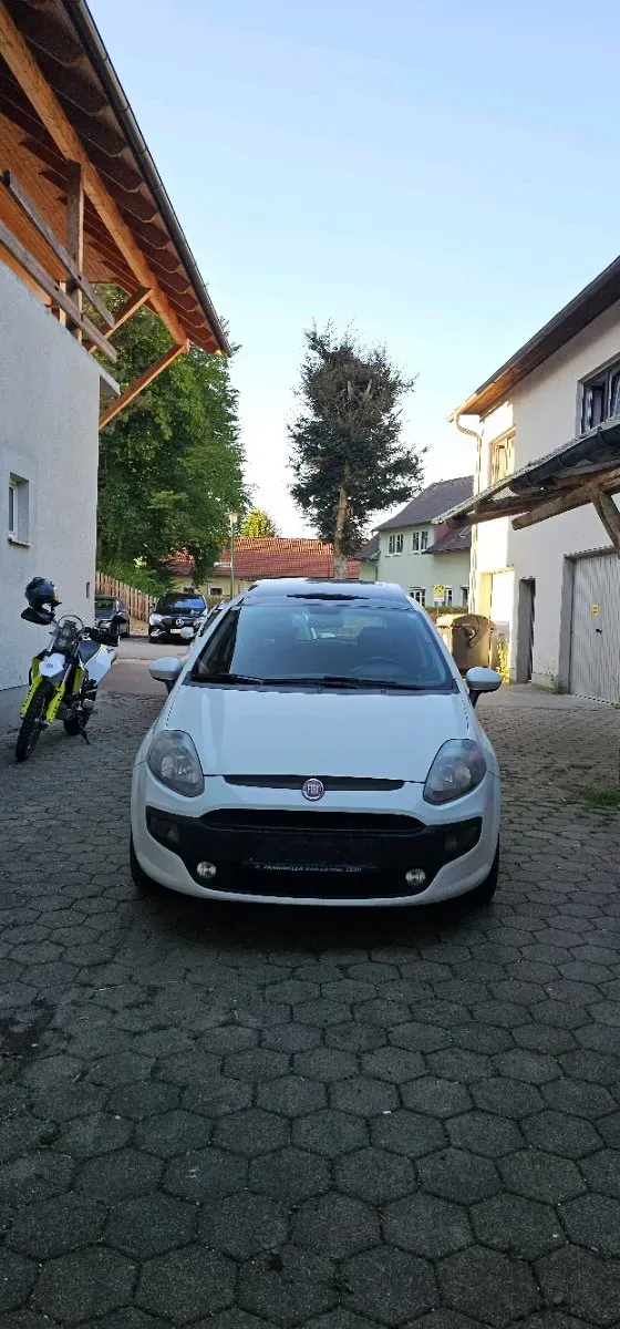 Fiat Punto 2010 photo 3
