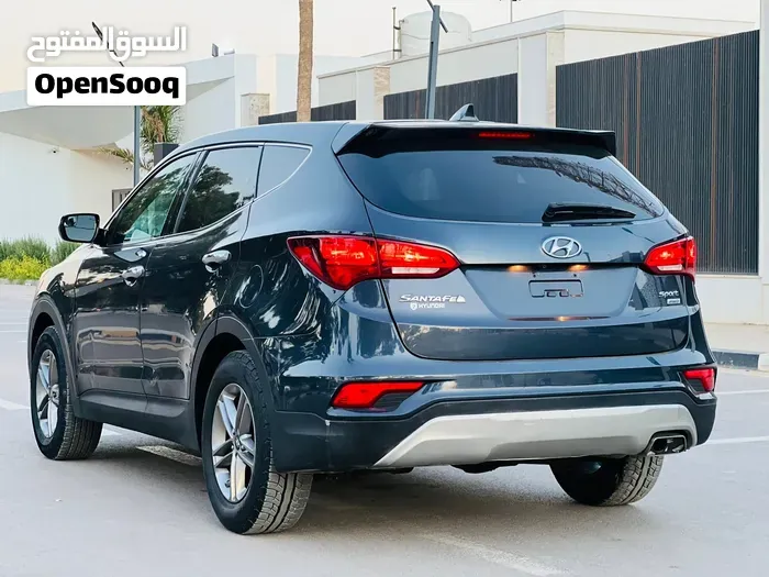 Hyundai Santa Fe 2017 photo 3