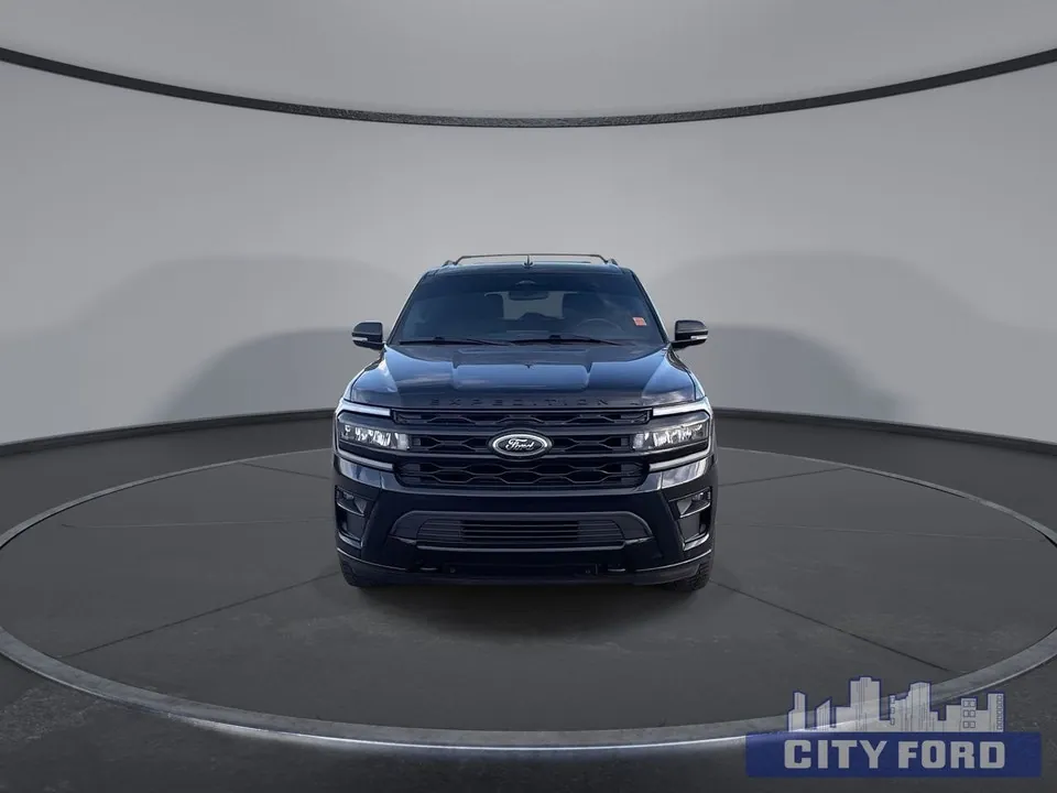 Ford Expedition 2024 photo 3