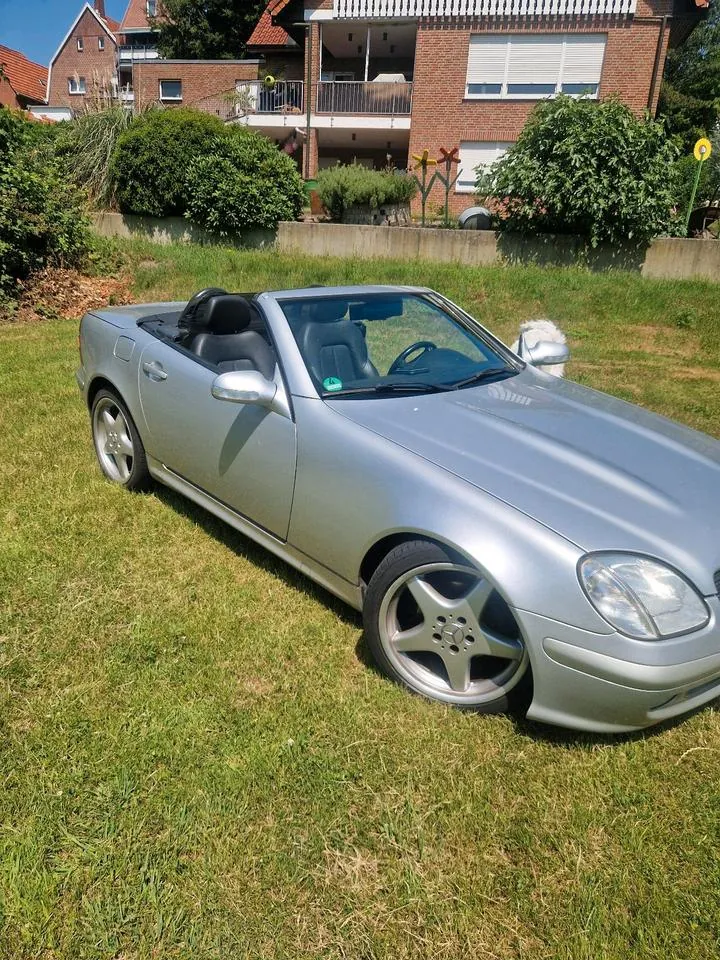 Mercedes-Benz Slk Cabrio