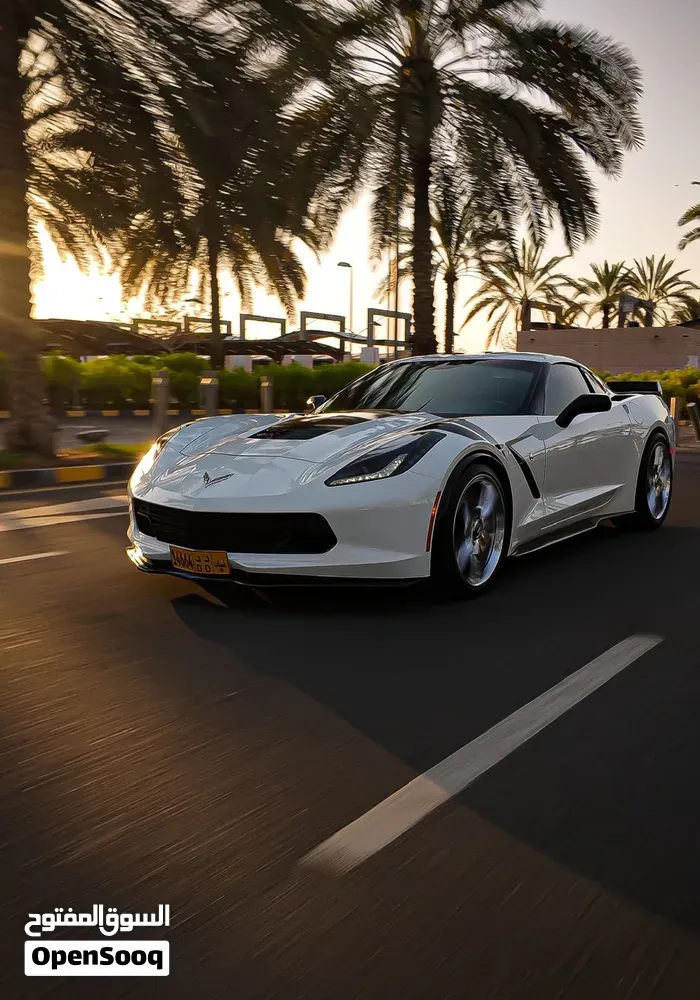 Chevrolet Corvette 2019 photo 4