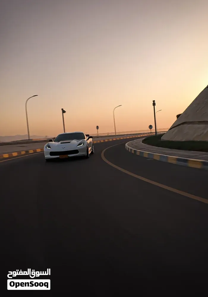 Chevrolet Corvette 2019 photo 2