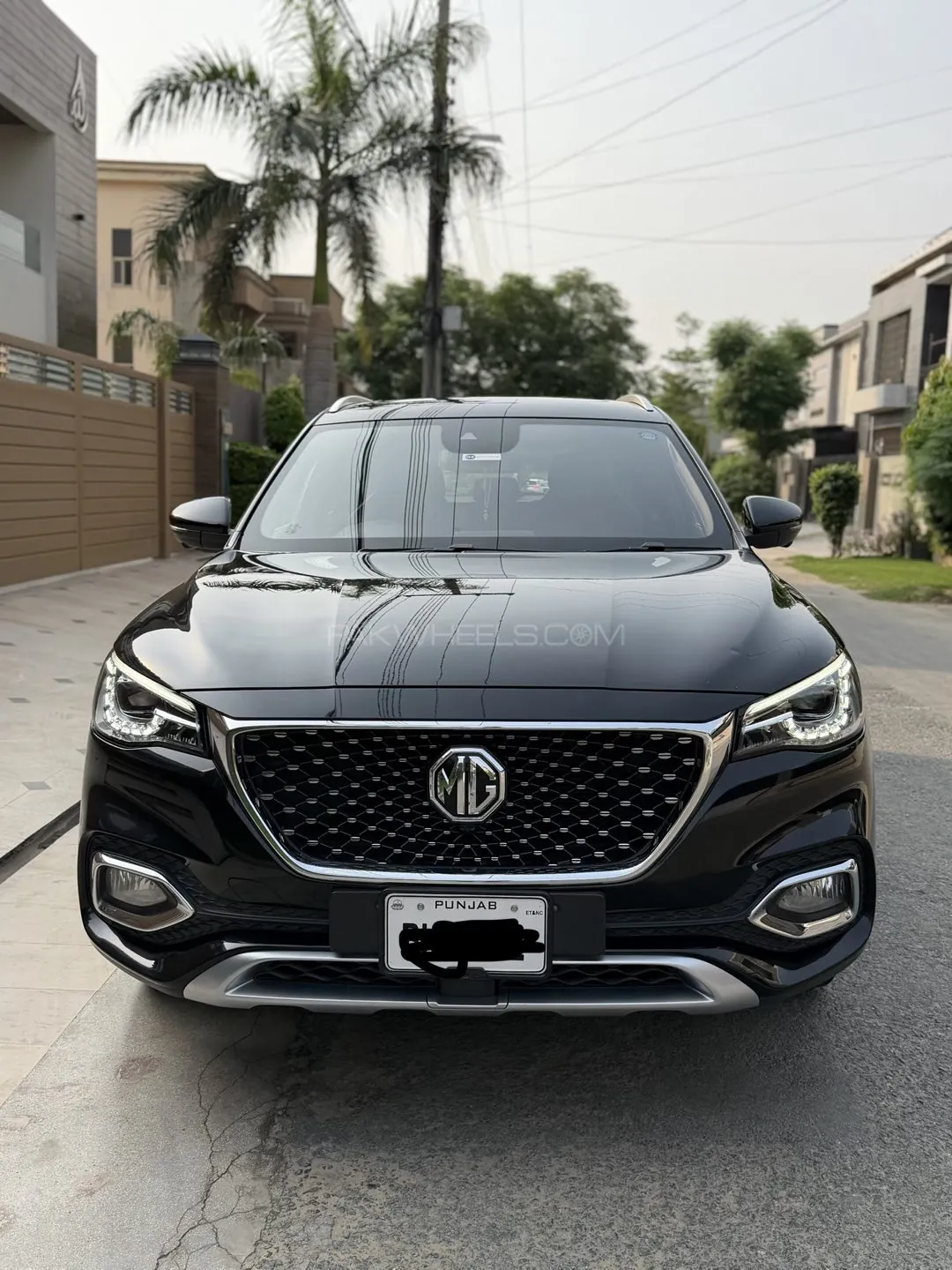 MG Hs