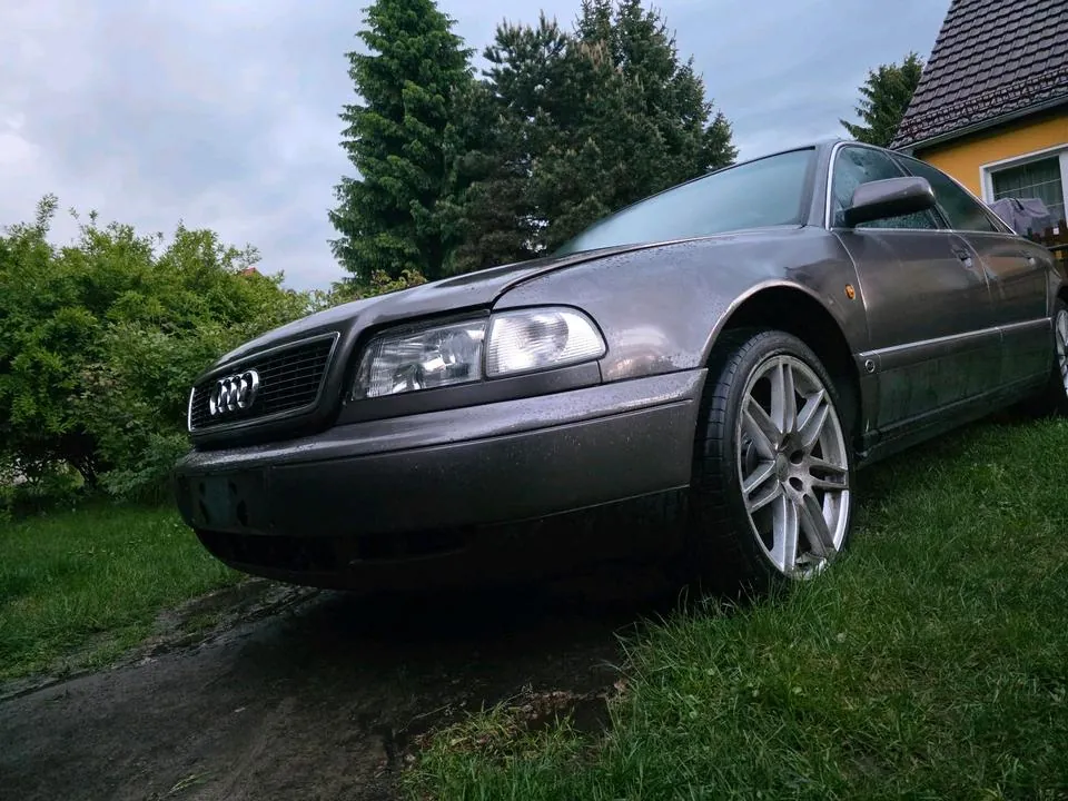 Audi A8