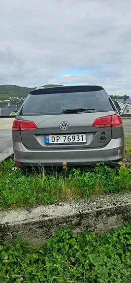 Volkswagen Golf Vii 2016 photo 3